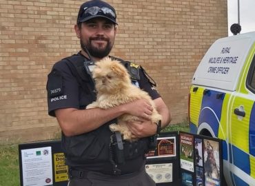 A police officer holds a small fluffy dog in his arms in front of a police car